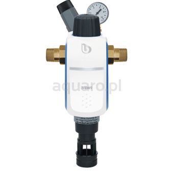 Filtr mechaniczny BWT R1 HWS